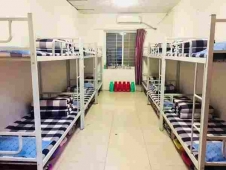 {�������̼��g3+2��